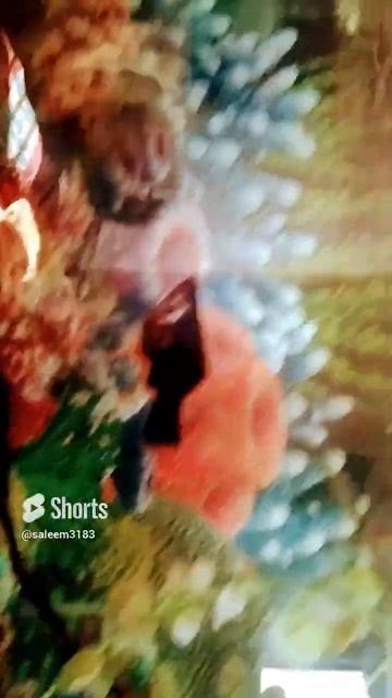 June 11, 2023 смотреть онлайн