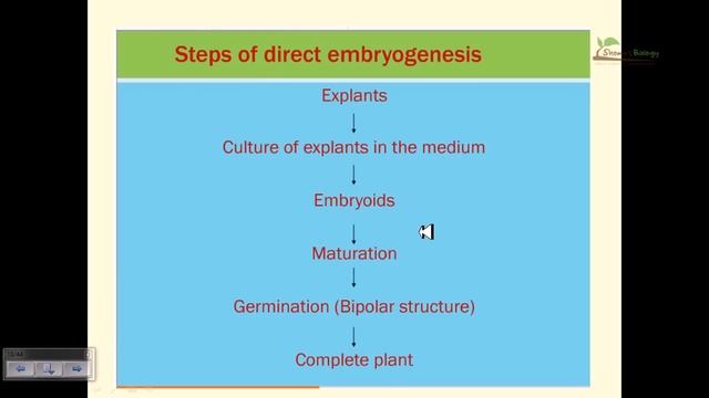 Somatic embryogenesis