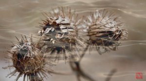 Прп. Нил Синайский СЛОВО ПОДВИЖНИЧЕСКОЕ ч4