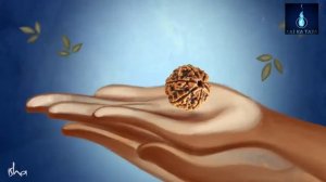 Receive Energised Rudraksha - By Sadhguru - Mahashivratri 2021