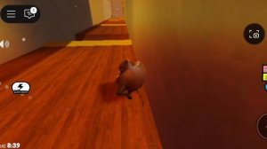 побег от тум-тум тум тум тум тум тум сакура