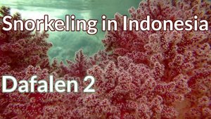 Dafalen, Misool Ep.2 - Snorkeling in Indonesia