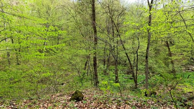 🐝 ВЕСНА 🌷💐