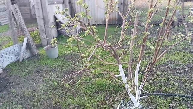 Деревенская жизнь .Жизнь простых людей в деревне