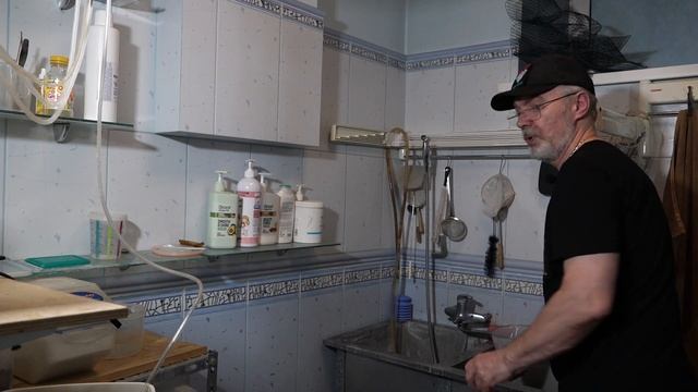 Декапсуляция артемии и про жизнь аквариумистов! смотреть онлайн