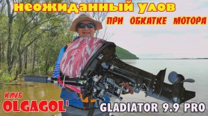 Неожиданный улов при обкатке мотора GLADIATOR 9.9 PRO