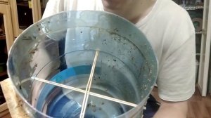Как сделать ловушку из бутылки для поимки пчелиного роя