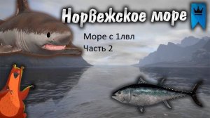 РР4 норвежское море с нуля день 2, а что если разбить морской тур на счастливые часы !