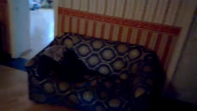 Глюк смотреть онлайн