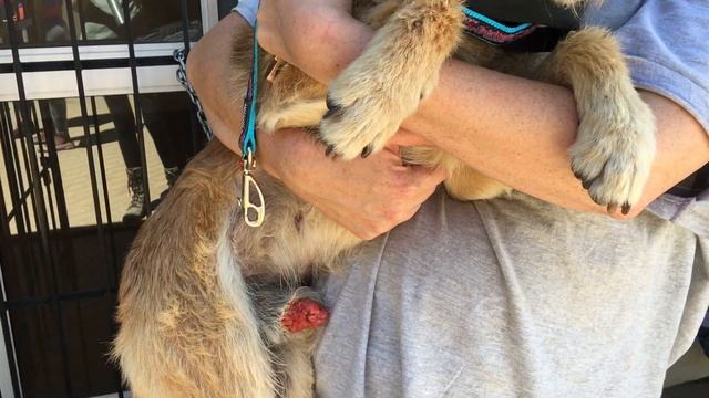 Please Sponsor a Chemotherapy Treatment! смотреть онлайн