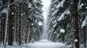 Снег кружиться летает и тает.