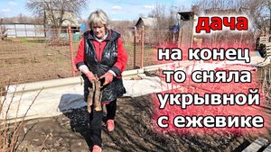 Дача.Холодный ветер не заканчивается.Убрала укрывной.Скорее бы тепло.Апрель 2025
