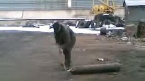 Мужик и кислородный баллон