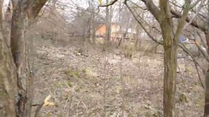 Нижне-Валдайская