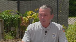 Q&A – Borers are attacking this dogwood. Is there a way to save the tree?