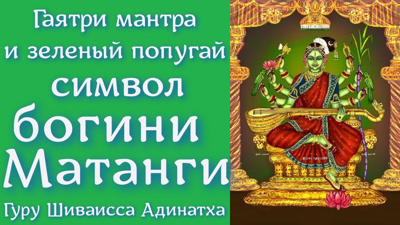Гаятри мантра и зеленый попугай символ богини Матанги. Гуру Шиваисса Адинатха