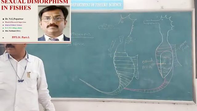B.Sc.S.Y.Sem-III|Paper No.VII|Lecture-31: PPT-31-Part-3