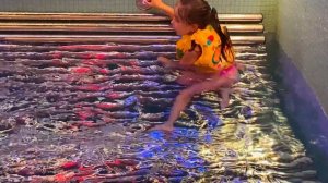 Веселая летняя история как НАСТЯ плавает в бассейне