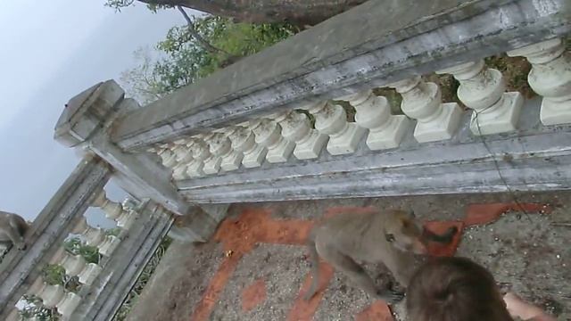 МанкиХилл Паттайя смотреть онлайн