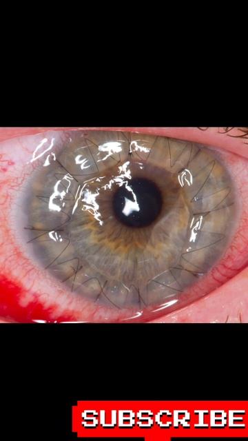 ఆసక్తికరమైన facts in తెలుగు #jyothifacts #trendingshorts #telugushorts #amazingfactsintelugu смотреть онлайн