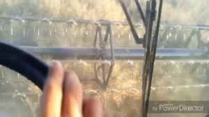 Уборка рапса. Конкретный обзор джойстика комбайна New Holland CX8.80.