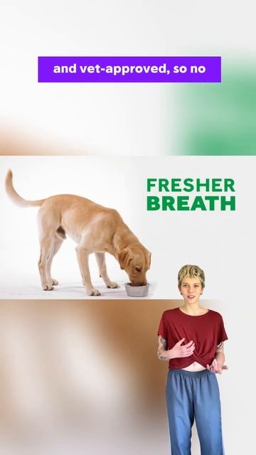 Kissable K9! 🐶💋 TropiClean Fresh Breath - Fresh Breath, Happy You! #TropiClean #DogDentalCare смотреть онлайн