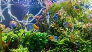 FILE 2025-04-17 12:33:23