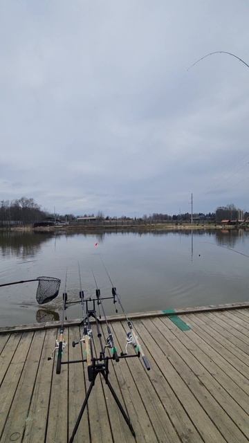 Поимка форели на бомбарду смотреть онлайн