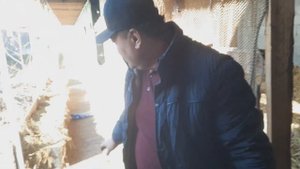 Бизнес дар Точикистон дар 7 мох 10 $ фойда Биогомс Кирмакхой канифорниски бизнес бехтарин 919369247