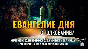 «Отче Мой! если возможно, да минует Меня чаша сия; впрочем не как Я хочу, но как Ты.»/Евангелие дня