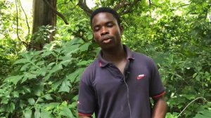 Beautiful Places In Ghana | Techiman | Kintampo Falls | Boabeng Monkey Sanctuary | Nkoransa Falls