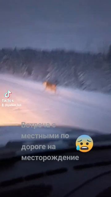 Зимние приключения по дороге на месторождение #бурение #вахта #нефтяники #уват смотреть онлайн