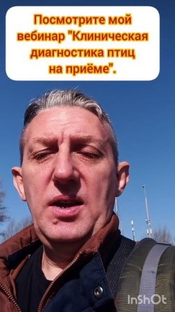 Вебинар "Клиническая диагностика птиц на приёме" ,жду всех.