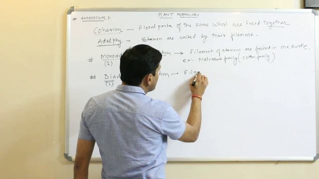 Androecium (Plant Morphology) | English Medium смотреть онлайн