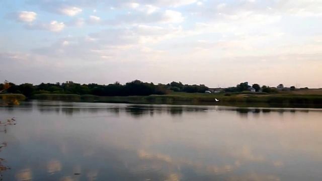 Полет лебедей смотреть онлайн