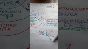 Инсайты из книги Эпиктета в чем наше благо?
