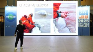 Гренландские киты Охотоморья. Фонд «Природа и люди» на Moscow Dive Show 2025