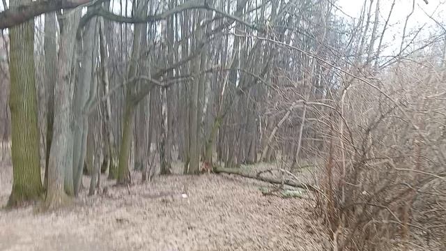 "Бицевский лес" природно-исторический парк. Москва. Все дороги ведут в парк!