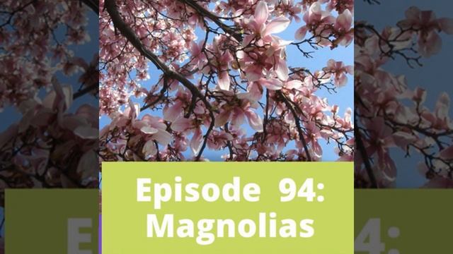 Magnolias смотреть онлайн