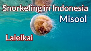 Lalelkai, Raja Ampat - 4K Snorkeling in Indonesia