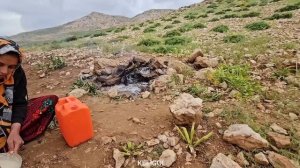 IRAN nomadic life | Nomadic lifestyle of Iran | cutting grass for sheep and impassable roads