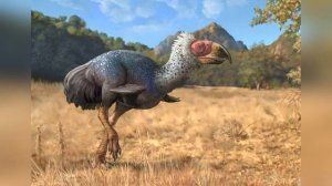 Великий межамериканский обмен