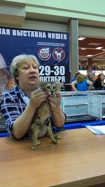 Экспертиза Литонья. Гордеева Л.