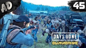 ОПЯТЬ ОРДА Прохождение Days Gone Жизнь После на Русском #45