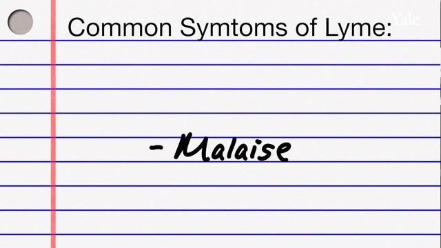 The Exam Room: Lyme  the Tick Test