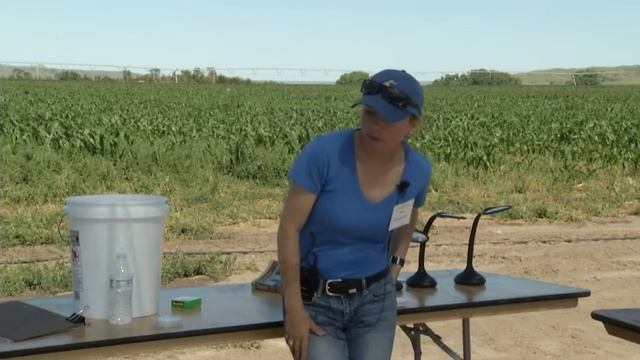 Sustainable Management of Insects and Mites