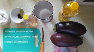 ТРИ ЗАГОТОВКИ ИЗ БАКЛАЖАН