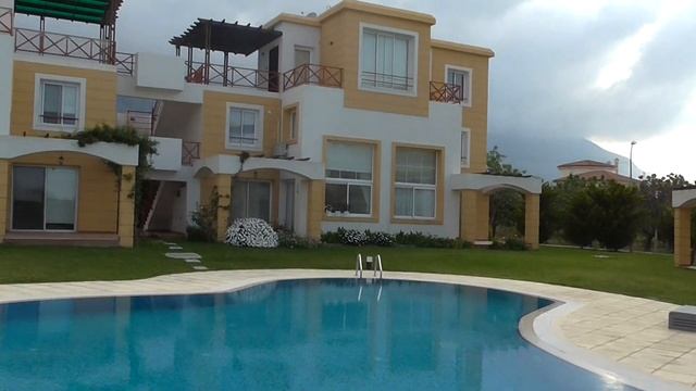 Citrus complex overview смотреть онлайн