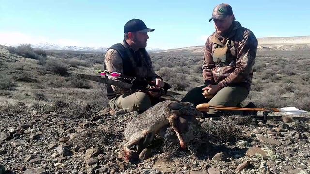 NEW WORLD RECORD JACK RABBIT!