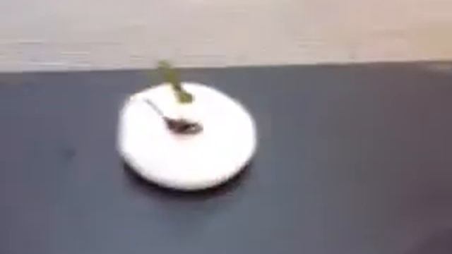 как бы аэропоная установка смотреть онлайн